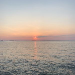 Meet your Posher, Emely